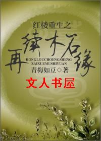 ��¥����֮����ľʯԵ