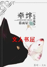 [�ֵ�ս��]ǣ��