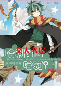 [HP]���������򣿣�