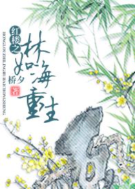 ��¥֮���纣����