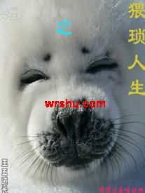 ����֮�����������