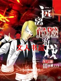 Զ��Σ����Ϸ����