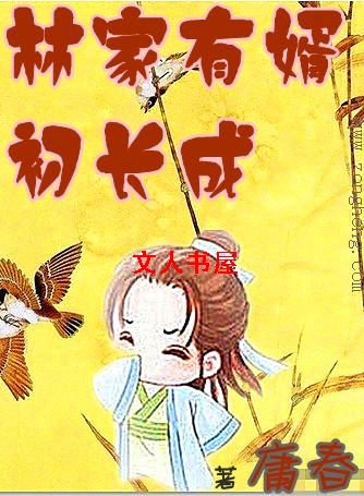 �ּ�����������