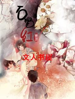 Ů��¥֮ʯ������