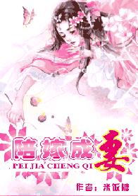 ��޳��޷���