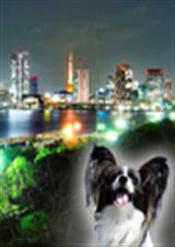 ������ҽ�����Ƿ���