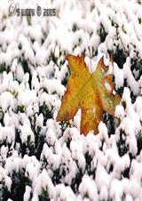 û��û�˷���