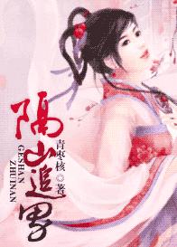 ��ɽ׷�з���