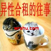 ���Ժ��������