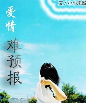 ������Ԥ������