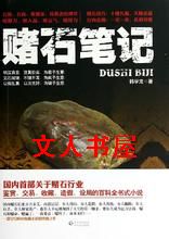 ��ʯ�ʼǷ���