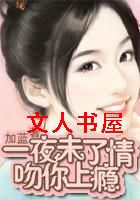 һҹδ����:�������