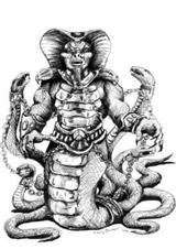 ����(˫������