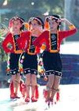 ����̥��ĸѰ��